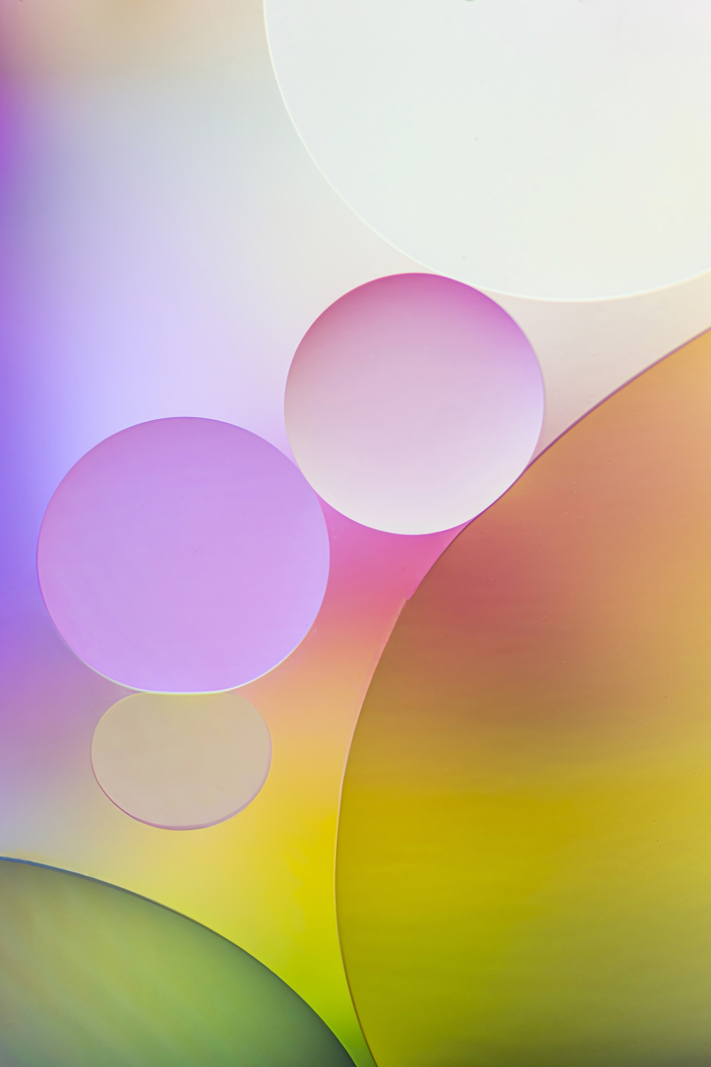 03 이일용 _ 소우주, 2023, inkjet print, 40×60cm. LIY8288 - 복사본.jpg 03 이일용 _ 소우주, 2023, inkjet print, 40×60cm. LIY8288 - 복사본.jpg